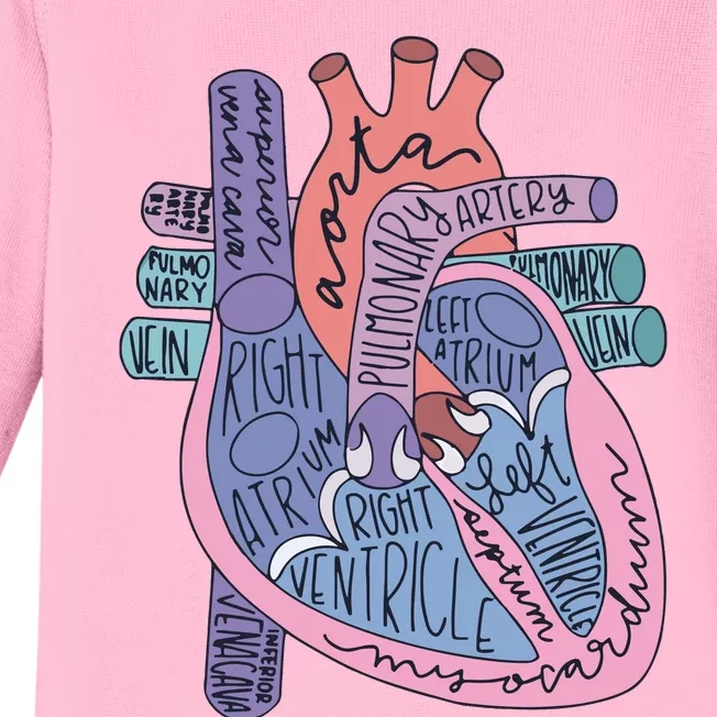 Anatomy Cardiologist Anatomical Heart Baby Long Sleeve Bodysuit