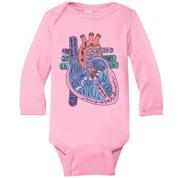 Anatomy Cardiologist Anatomical Heart Baby Long Sleeve Bodysuit