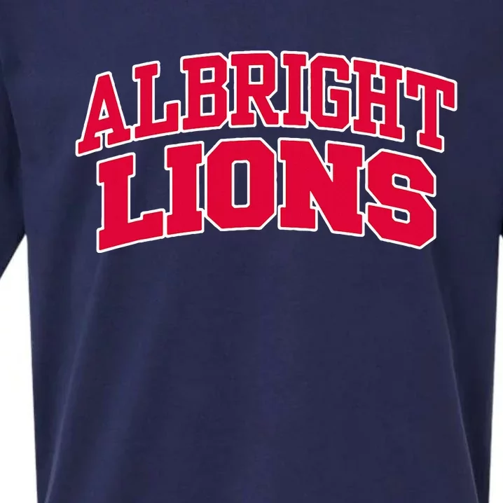 Albright College Sueded Cloud Jersey T-Shirt