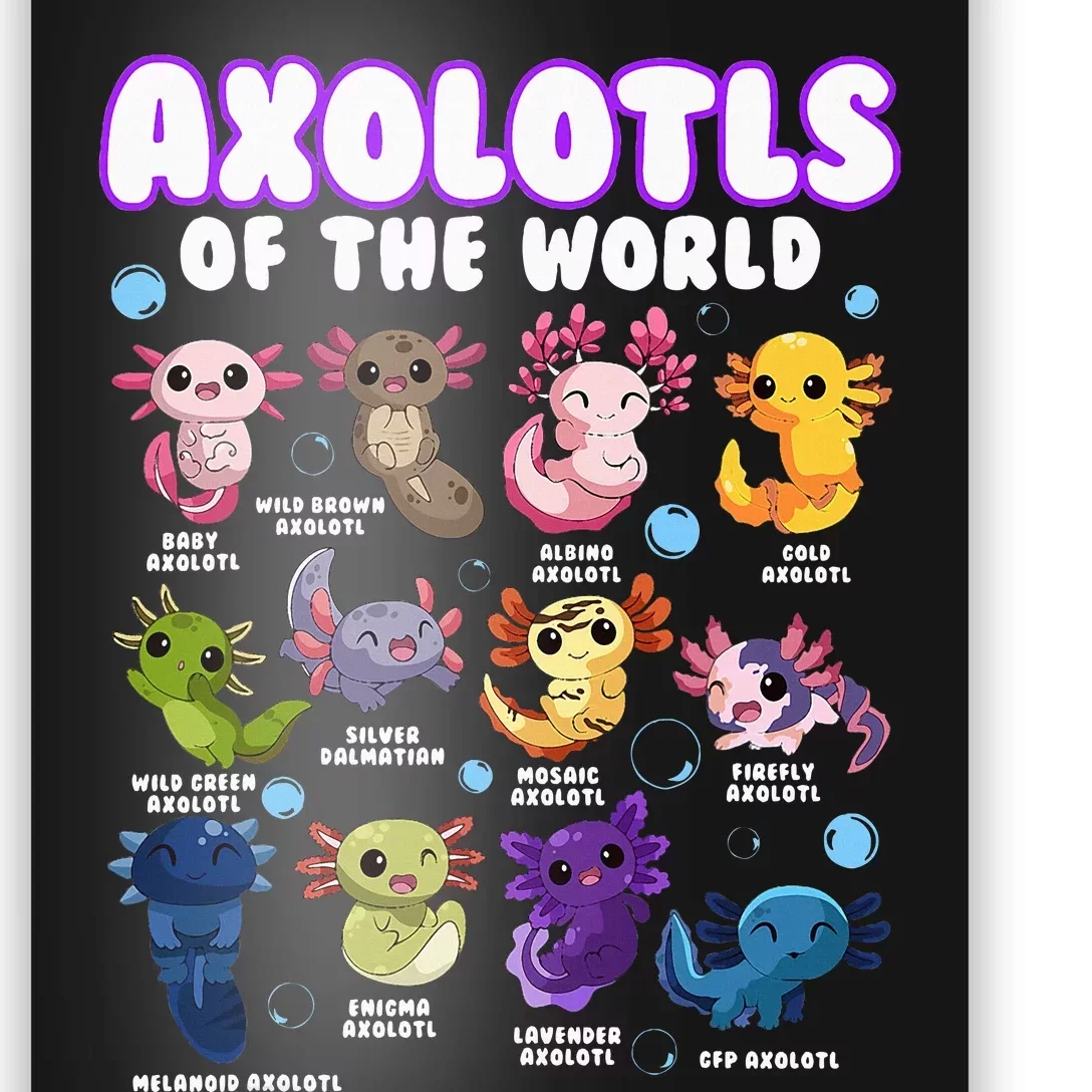 Axolotl Cute Axolotls Animals Of The World Herpetology Poster