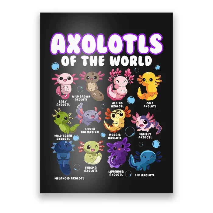 Axolotl Cute Axolotls Animals Of The World Herpetology Poster