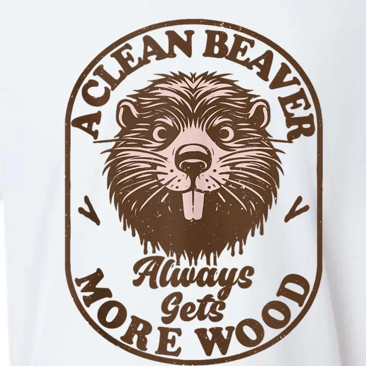 A Clean Beaver Always Gets More Wood Graphic Funny Raunchy Sueded Cloud Jersey T-Shirt