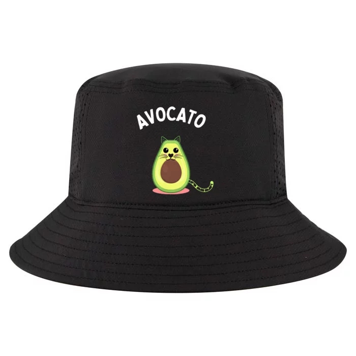 Avocato Cute Cat Avocado Lover Cool Comfort Performance Bucket Hat