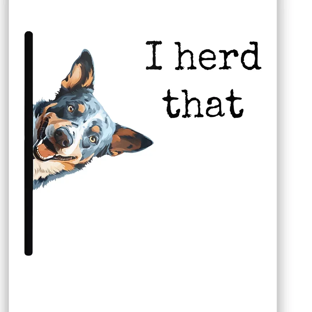 Australian Cattle Dog Owner Funny I Herd That Blue Heeler Poster