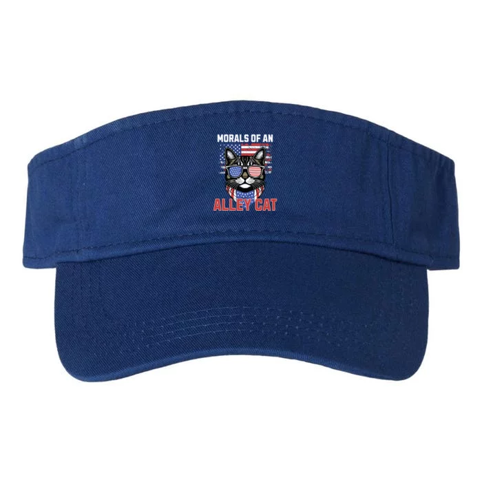 Alley Cat Funny Debate Election Presidential Debate Valucap Bio-Washed Visor