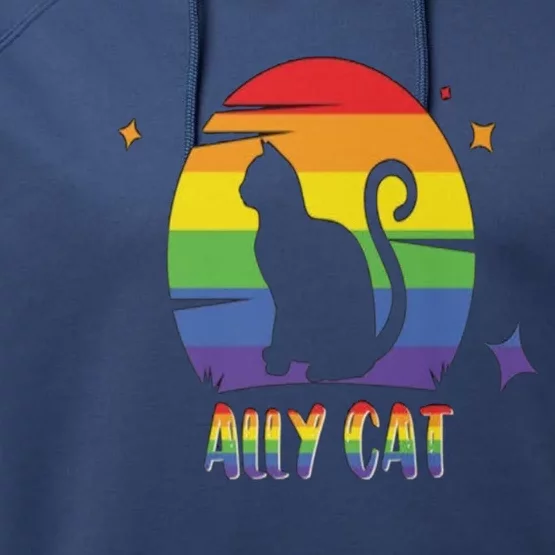 Ally Cat Funny Kitten Lgbt Pride Month Gift Performance Fleece Hoodie