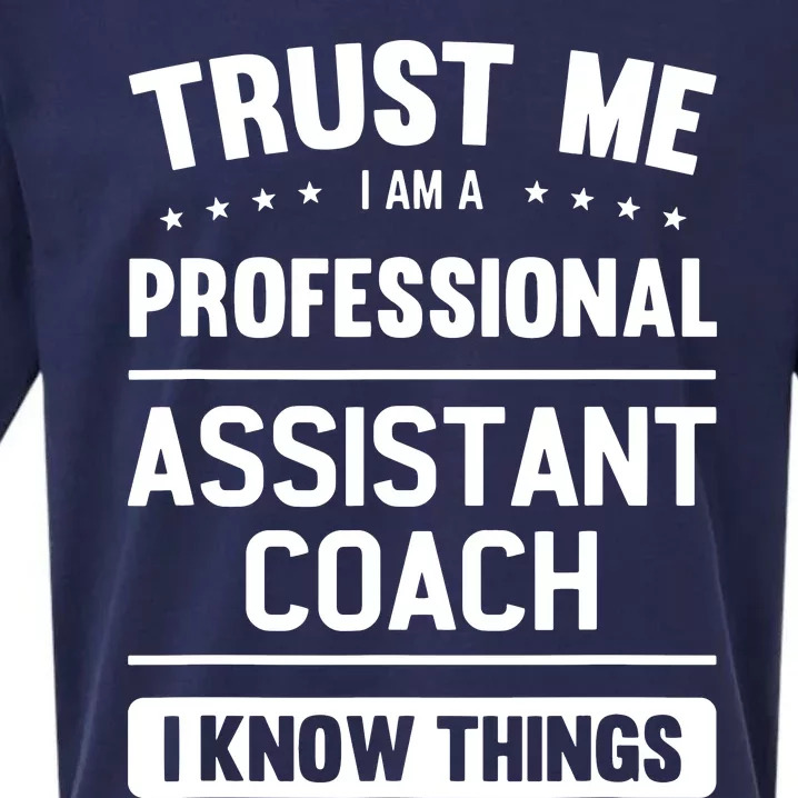 Assistant Coach Gift Idea Professional Coaches Sueded Cloud Jersey T-Shirt