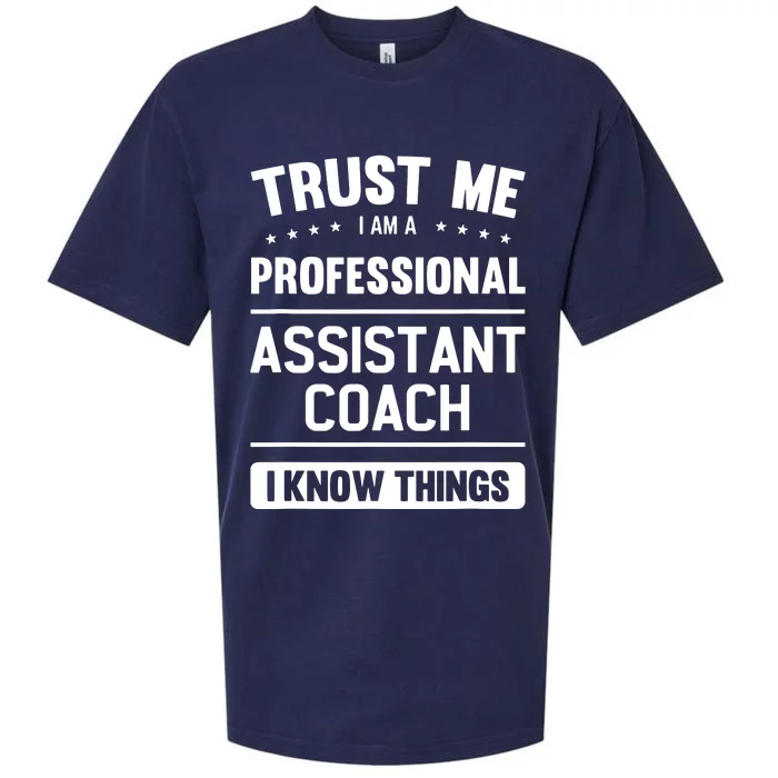 Assistant Coach Gift Idea Professional Coaches Sueded Cloud Jersey T-Shirt