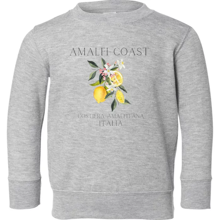 Amalfi Coast Lemons Amalfi Italy Toddler Sweatshirt