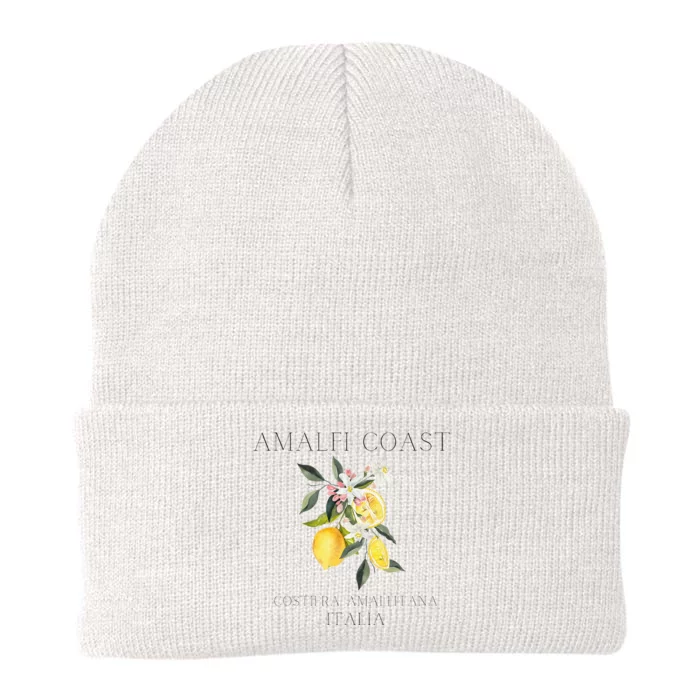 Amalfi Coast Lemons Amalfi Italy Knit Cap Winter Beanie