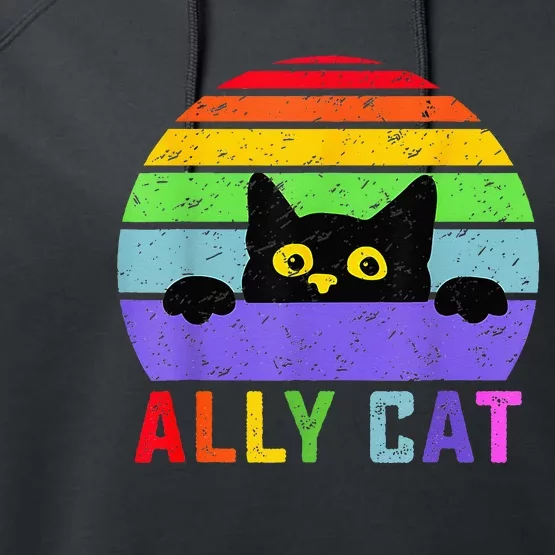 Ally Cat LGBT Gay Rainbow Pride Flag Funny Cat Lover Performance Fleece Hoodie