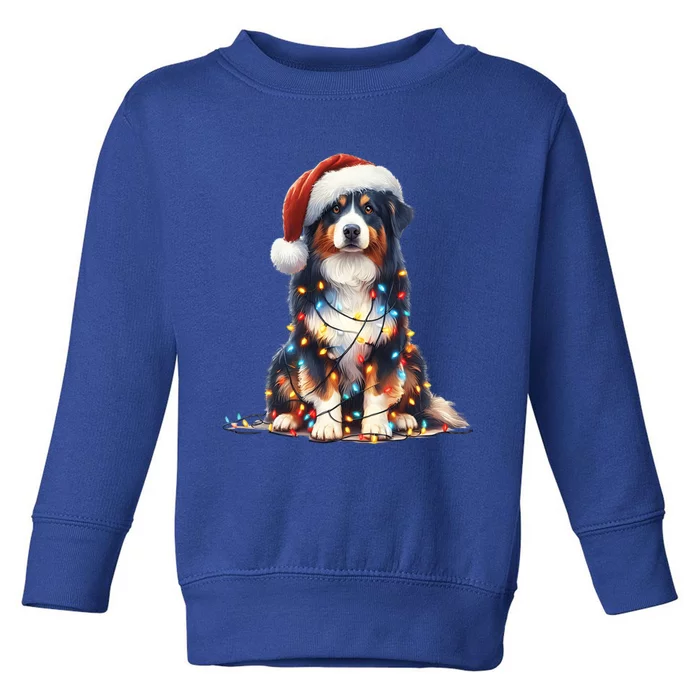 Amazing Christmas Light Santa Ho Dog Australian Shepherd Gift Toddler Sweatshirt