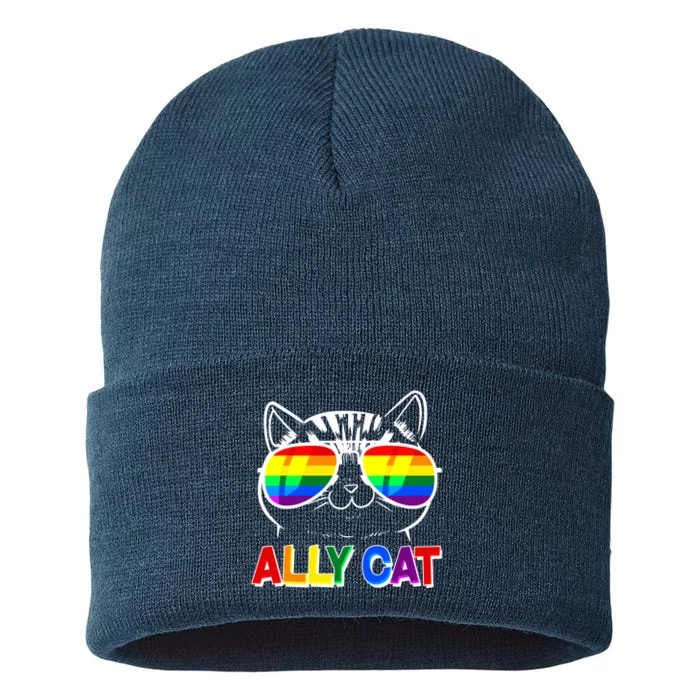 Ally Cat LGBT Pride Sustainable Knit Beanie