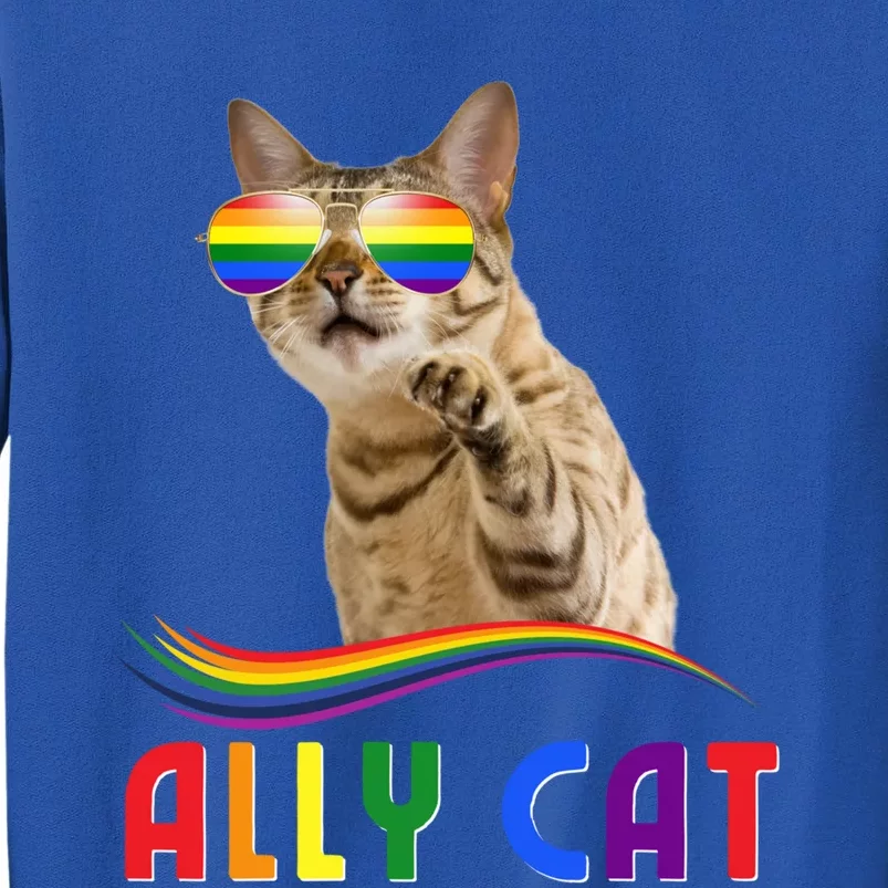 Ally Cat Lgbtq+ Pride Cat With Rainbow Sunglasses Gift Tall Sweatshirt