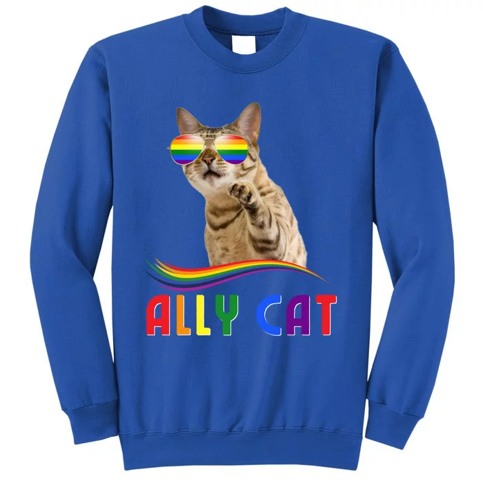 Ally Cat Lgbtq+ Pride Cat With Rainbow Sunglasses Gift Tall Sweatshirt