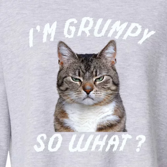 Angry Cat Meme I'm Grumpy So What Cropped Pullover Crew