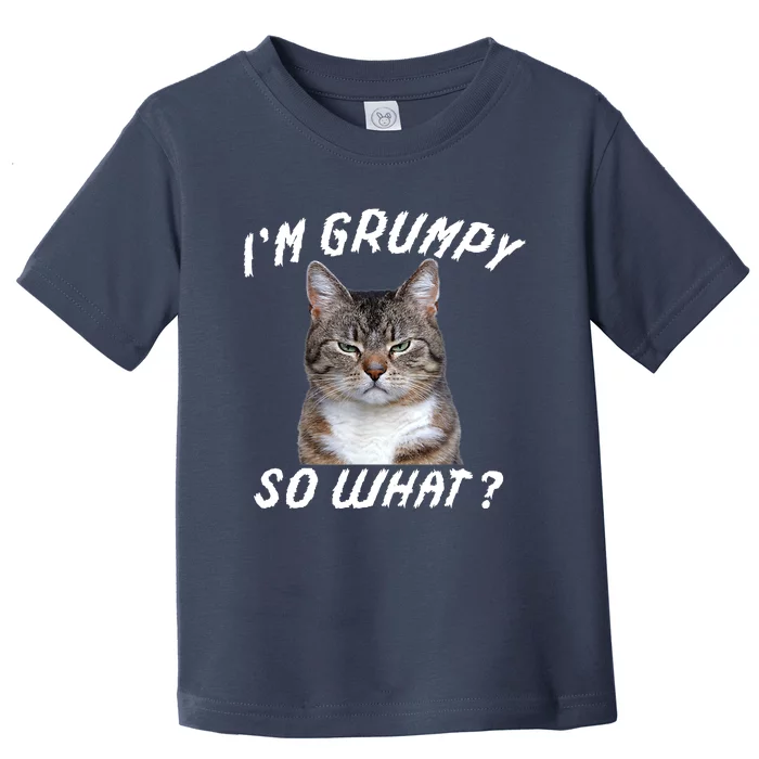 Angry Cat Meme I'm Grumpy So What Kids T-Shirt