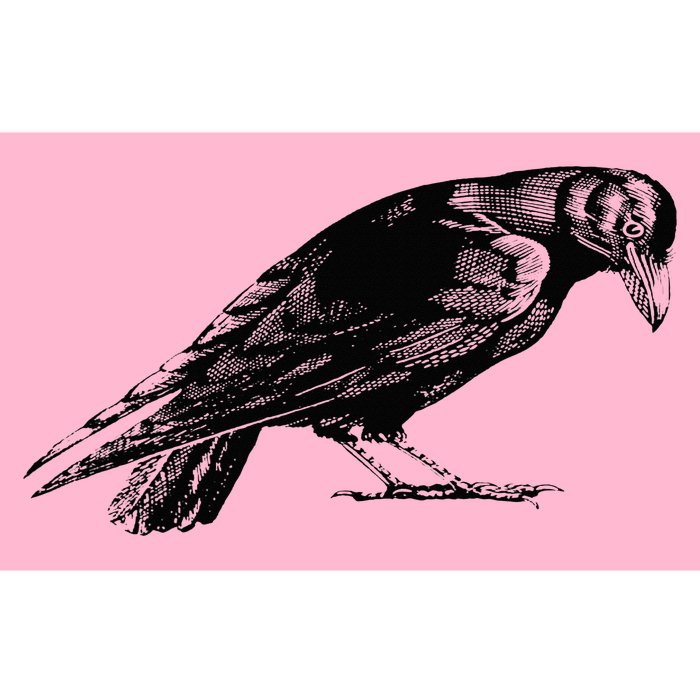 Antique Crow or Raven Bumper Sticker