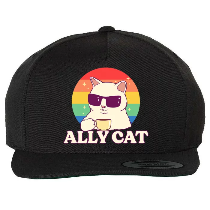 Ally Cat Pride Gift Wool Snapback Cap