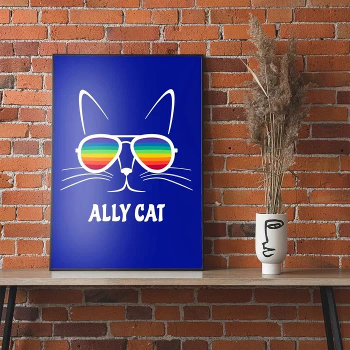 Ally Cat Rainbow Sunglasses Gift Poster