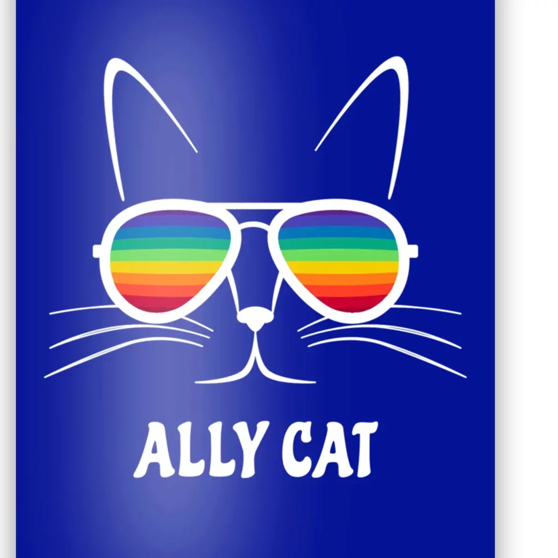 Ally Cat Rainbow Sunglasses Gift Poster