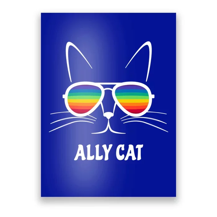 Ally Cat Rainbow Sunglasses Gift Poster