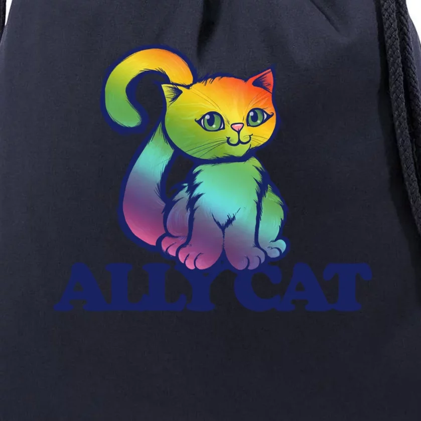 Ally Cat Retro Rainbow Lgbtq Cool Gift Drawstring Bag