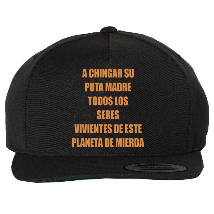 A Chingar Su Puta Madre Todos Los Seres Vivientes De Este Planeta De Mierda Hood Wool Snapback Cap