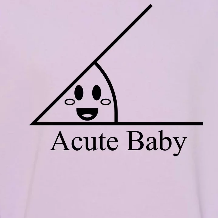 Acute Baby Funny Math Garment-Dyed Sweatshirt