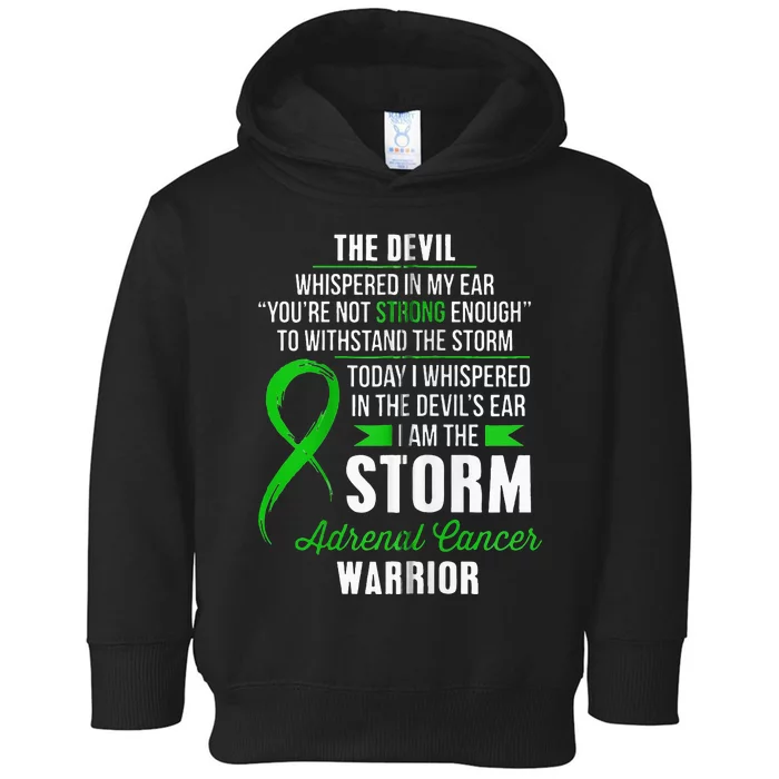 Adrenal Cancer Warrior I Am The Storm Toddler Hoodie