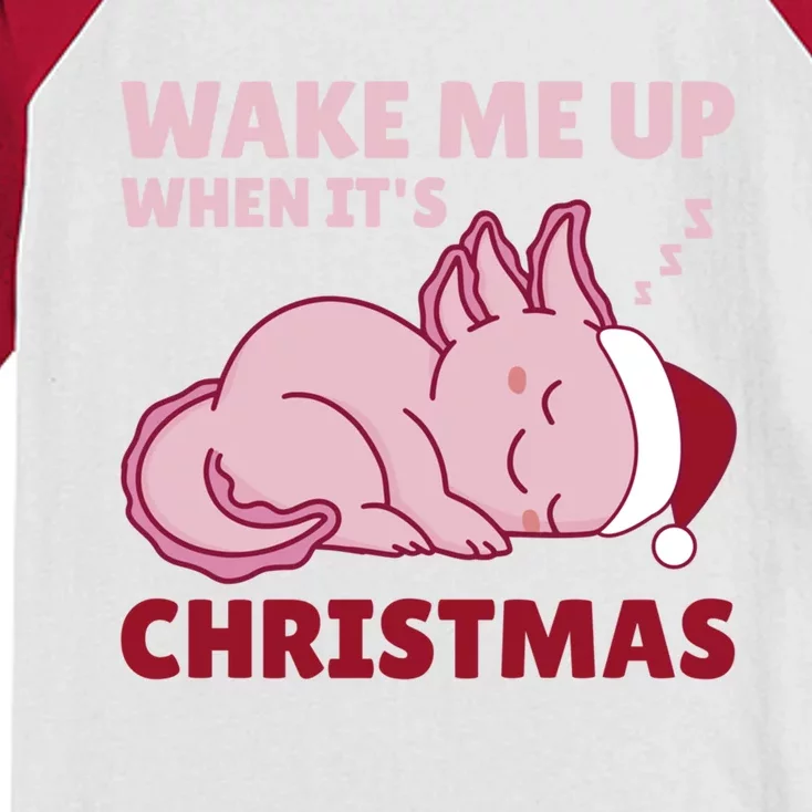 Axolotl Christmas Wake Me Up When ItS Christmas Funny Gift Kids Colorblock Raglan Jersey