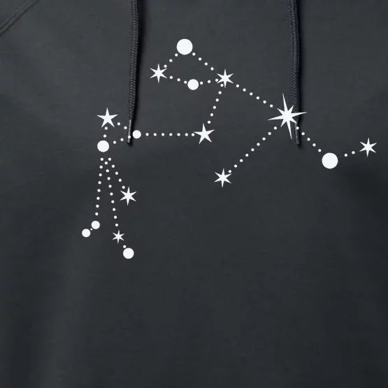 Aquarius Constellation Zodiac Performance Fleece Hoodie