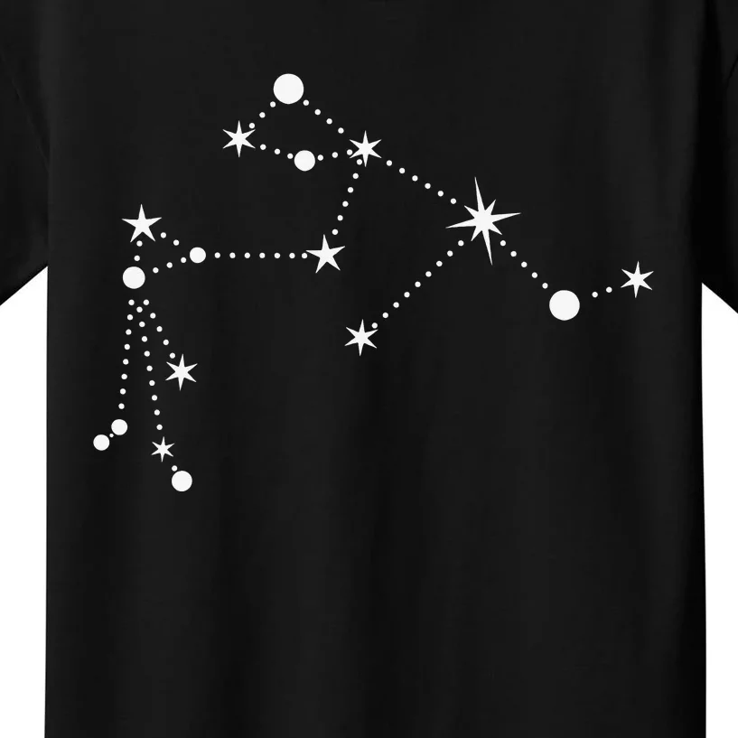 Aquarius Constellation Zodiac Kids T-Shirt