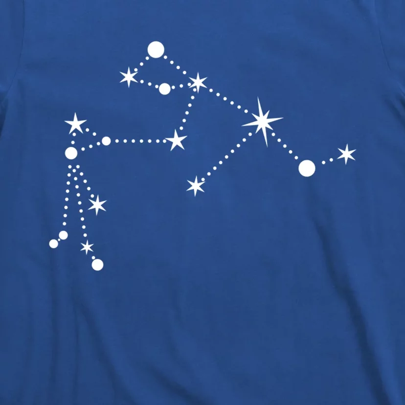 Aquarius Constellation Zodiac Gift T-Shirt