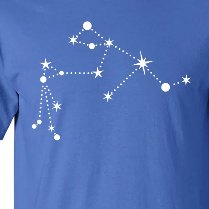 Aquarius Constellation Zodiac Gift Tall T-Shirt