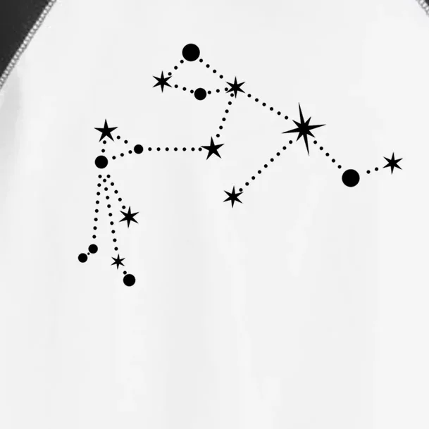 Aquarius Constellation Zodiac Gift Toddler Fine Jersey T-Shirt