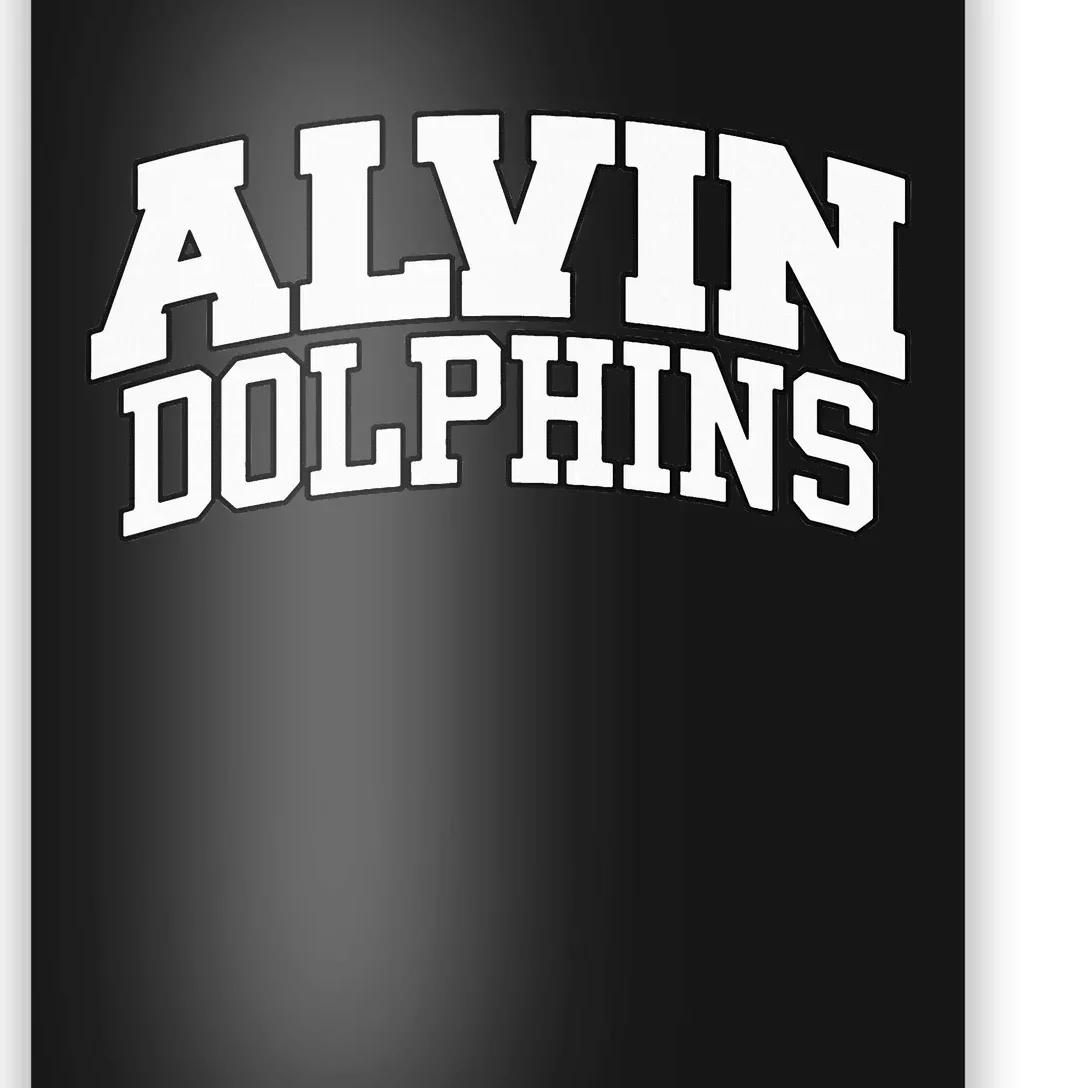 Alvin Dolphins Poster