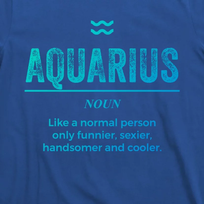 Aquarius Definition Funny Zodiac Gift Great Gift T-Shirt