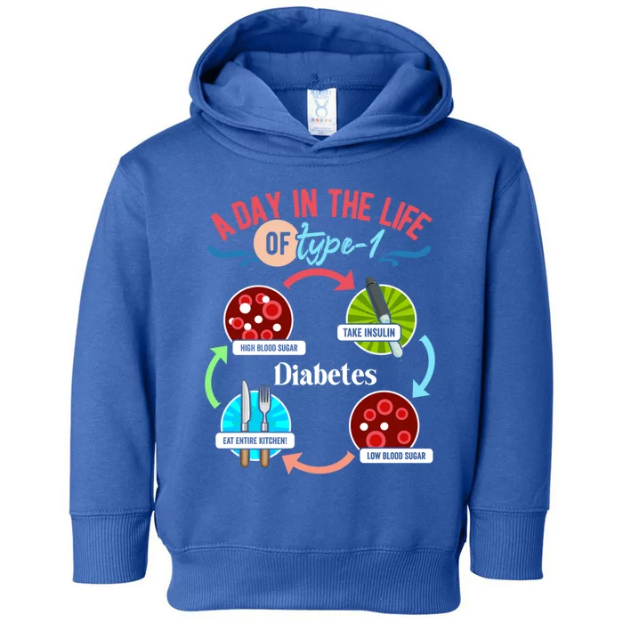 A Day In Life Of Typegift1 Diabetes Gift Toddler Hoodie