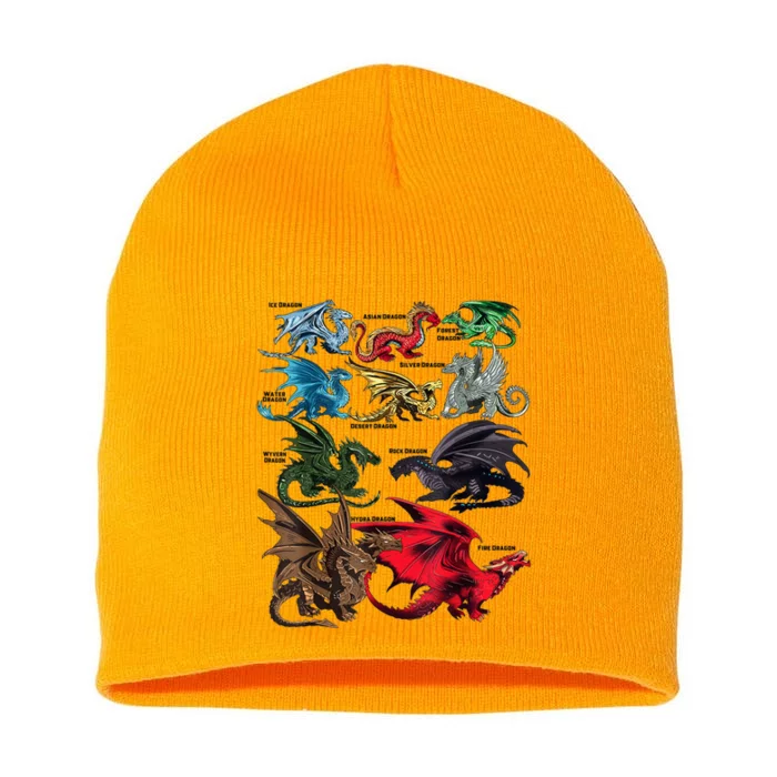 Awesome Dragon Lovers Types Of Dragons Gift Short Acrylic Beanie