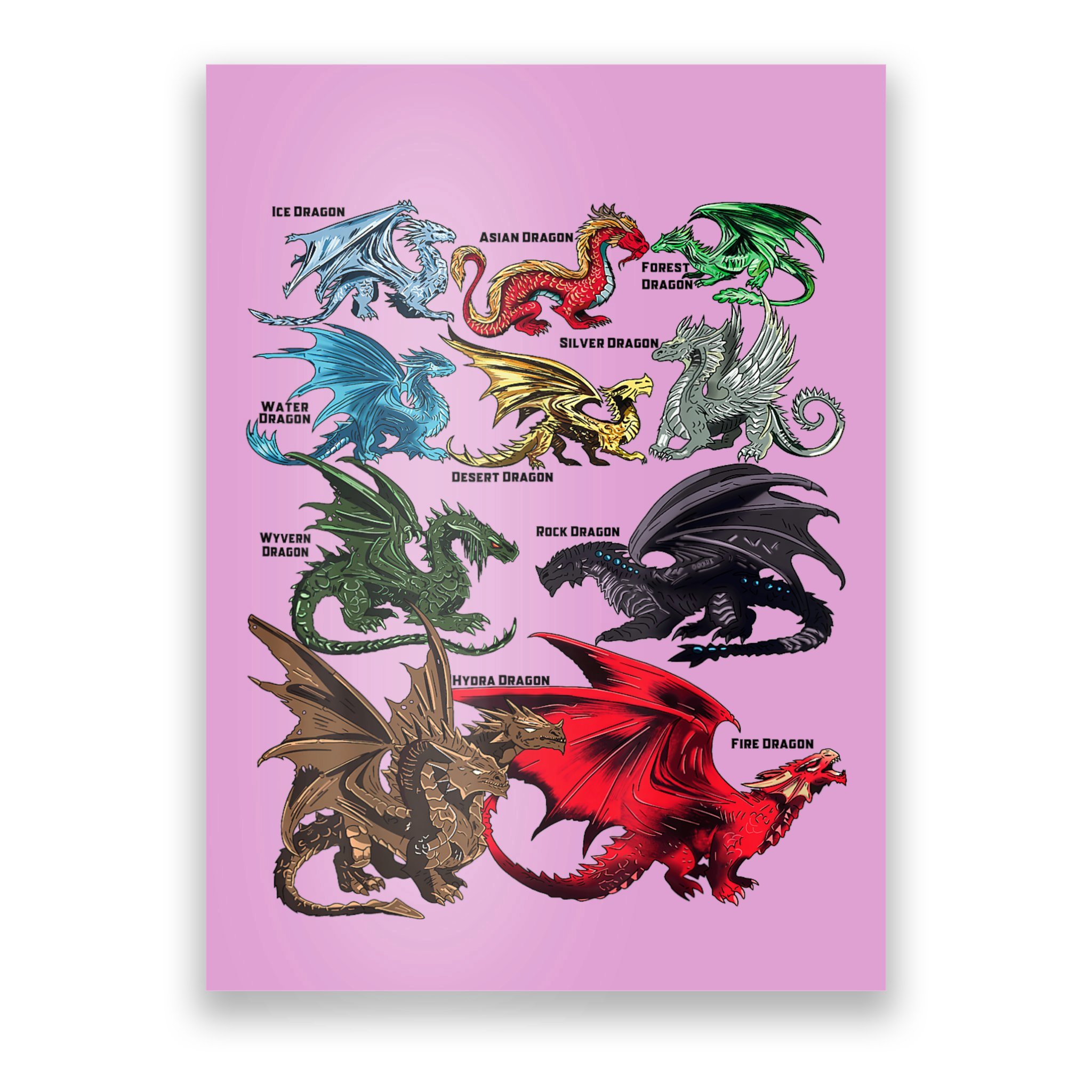 Esperanzado Creo que vértice Awesome Dragon Lovers Types Of Dragons Gift Poster | TeeShirtPalace