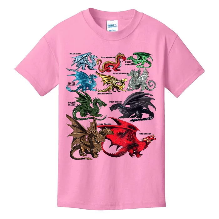 Awesome Dragon Lovers Types Of Dragons Gift Kids T-Shirt