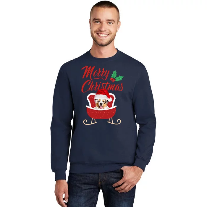 Aussie Dog Merry Christmas Design For The Holiday Season! Tall Sweatshirt