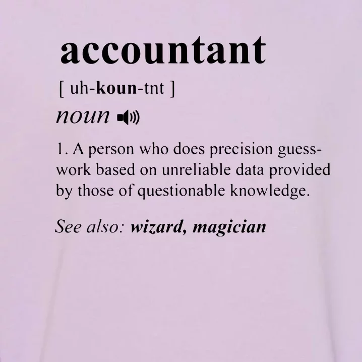 Accountant Definition Noun Accounting Major CPA Funny Gifts Garment-Dyed Sweatshirt