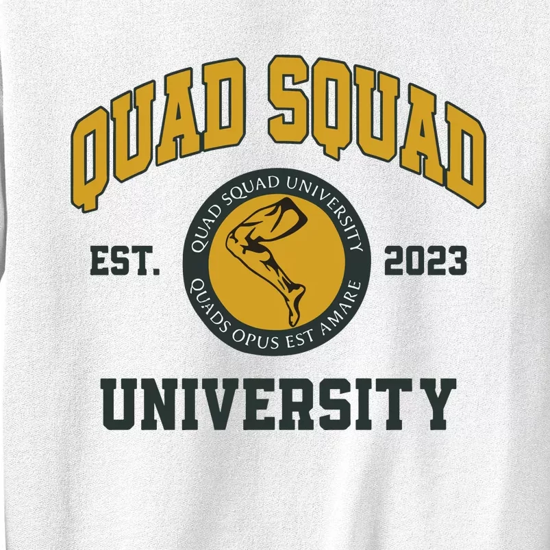 Aj Dillon Quad Squad University Sweatshirt