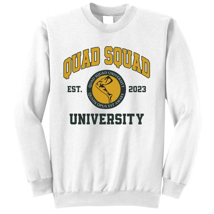 Aj Dillon Quad Squad University Sweatshirt