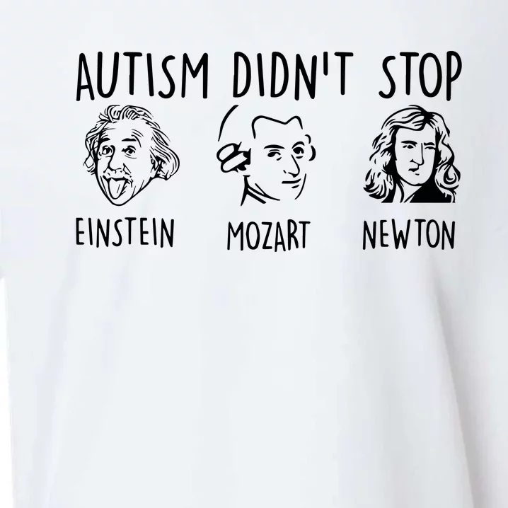 Autism DidnT Stop Einstein Mozart Newton Sueded Cloud Jersey T-Shirt