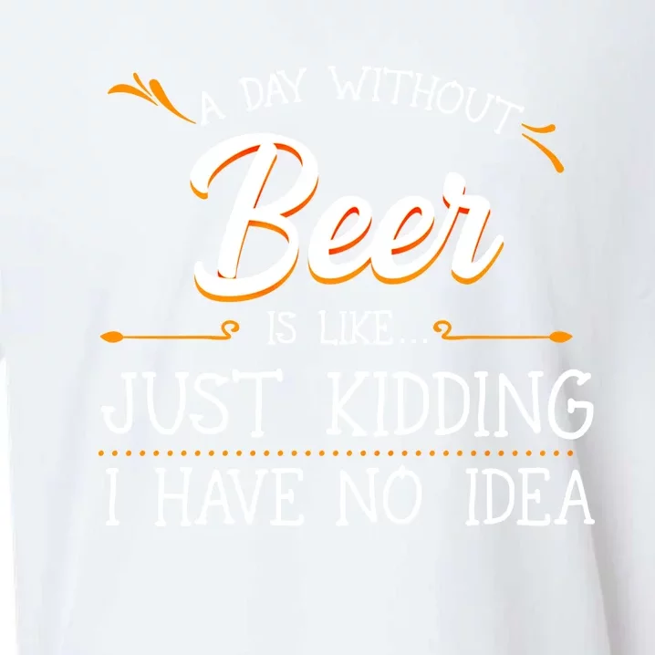 A Day Without Beer Is Like Just Ding I Have No Idea Funny Gift Sueded Cloud Jersey T-Shirt