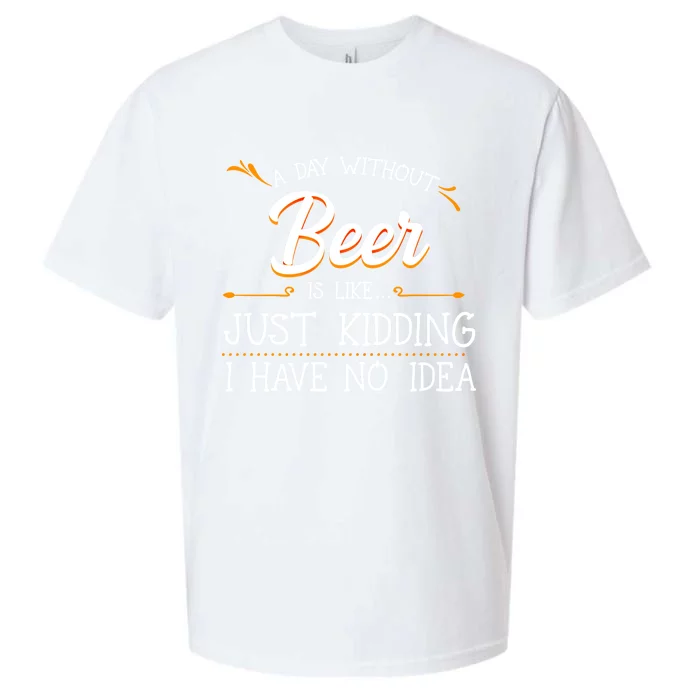 A Day Without Beer Is Like Just Ding I Have No Idea Funny Gift Sueded Cloud Jersey T-Shirt