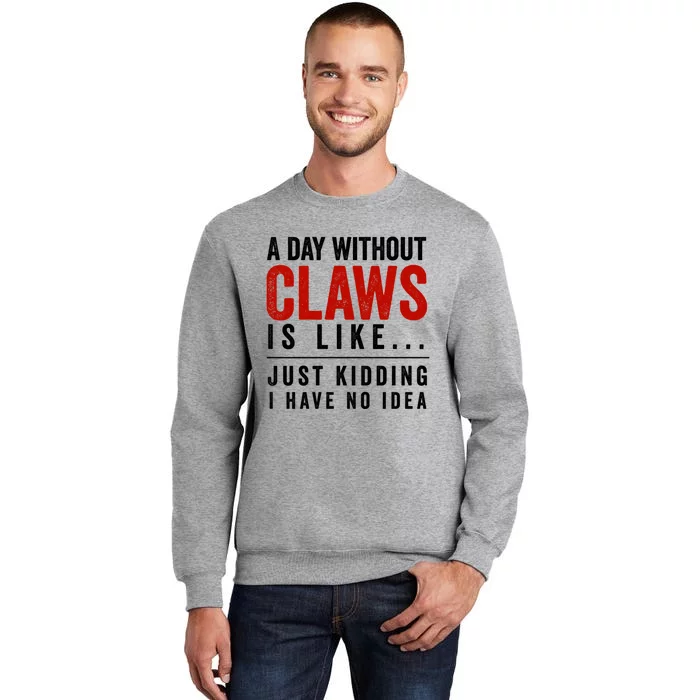 A Day Without Hard Seltzer Funny Alcohol Bar Crawl Claw Gift Tall Sweatshirt